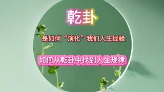 乾卦是如何演化出我们的人生，又如何从乾卦中找到我们的人生规律呢？#易学智慧 #国学文化 #易经