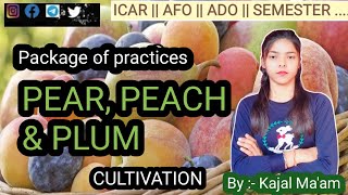 Pear, Peach & Plum Cultivation | Temperate fruits |Horticulture | ICAR | BHU | BAU | AFO | Semesters