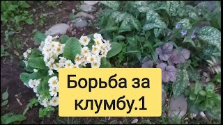 Городская клумба, страсти разгораются