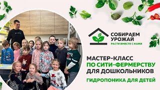 Мастер-класс по гидропонике для дошкольников