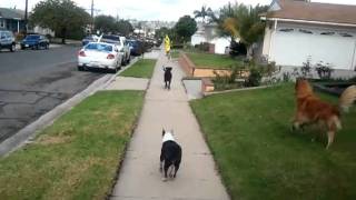 video-2010-10-30-12-26-46