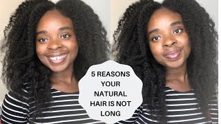 CURLY HAIR SOLUTIONS: FIVE (5) REASONS THAT NATURAL HAIR DOES NOT RETAIN LENGTH