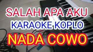 salah apa aku karaoke dangdut koplo tanpa vokal