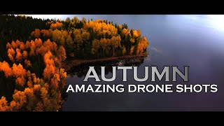 Autumn: Amazing drone shots: The most beautiful season of the year