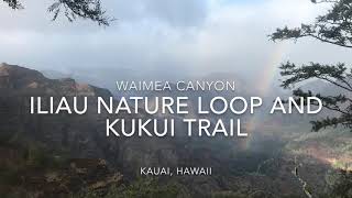 Iliau Nature Loop & Kukui Trail