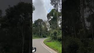 Road Trip, Nature vibes, Kattapanna, Kerala