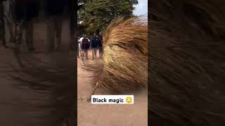 I Tried African Black Magic Trends