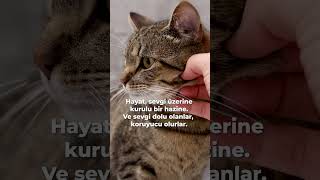 4 Ekim Dünya Hayvanları Koruma Günü 🐕🐈🪿