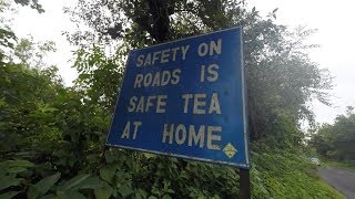 Safe Tea