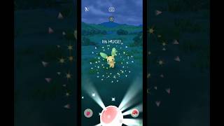 Did I Catch ✨Shiny Minun⁉️|Magnetic 🧲 Study |Pokemon Go|#shorts #pokemongo #pokemon #short #pokémon