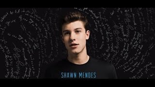 Shawn Mendes - A Little Too Much