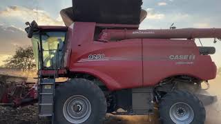 Самый мощный комбайн Case IH 9250 AXIAL FLOW в Мире.