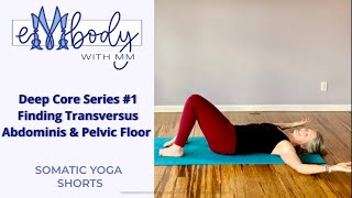 Four Deep Core #1 Transversus Abdominis and Pelvic Floor