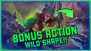 DRUID D&D 2024 Full Class Review (HUGE Rework!!)