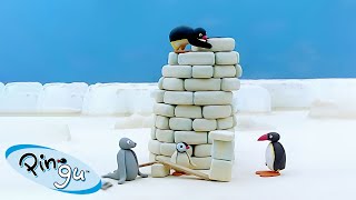 Pingu Builds a Tower 🐧 | Pingu - Official Channel | Cartoons For Kids