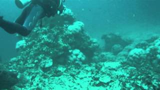 Buceo en Ko lanta