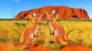 BabyTv BIM And Bam In The Animal World Kangaroo 3