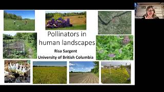 SEEM 2022 09 30 Risa Sargent: "Plant-pollinator interactions in human-altered landscapes"