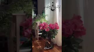 آهنگ رویای من سالار عقیلی ♥️♥️