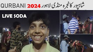 Live Soda | Qurbani 2024 | Shahpur Kanjra Mandi Lahore