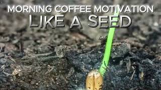 Morning Coffee Motivation - Seeds of Greatness