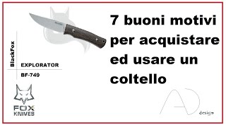 Sette buoni motivi per acquistare ed usare un coltello