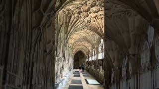 Harry Potter at Cathedral          #harrypotter #shortsvideo #youtubevideos #gloucester