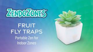 ZendoZones® Fruit Fly Traps