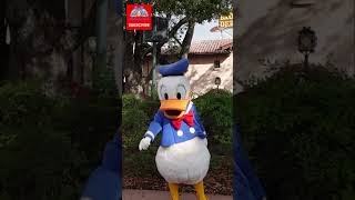 Meeting Donald Duck #shorts #disneyworld