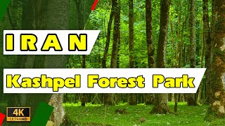 Iran 2022 - Walking in Kashpel Forest Park پارک جنگلی کشپل ؛ چمستان