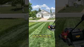 Avoid THIS Lawn Care Mistake #lawncare