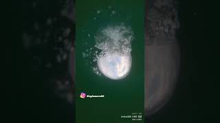 crazy video/ see what happens in the end 🦈 ✈️ #shark #videoviral #fishingislife #insta360