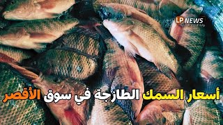 جولة في سوق شرق السكة بالأقصر أسعار وأنواع السمك من قلب الصعيد!