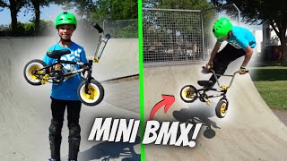 MINI BMX TRICKS AT THE SKATEPARK! *TAILWHIP AIR*