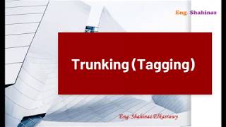 21_ببساطة مع مهندسة شاهيناز...Trunking or Tagging...تفاصيل الوصلة بين السويتشات