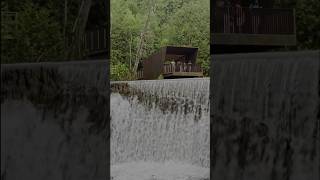 Waterfall and suspension bridge Bellfountain conservation area #ontariocanada #shorts #reels