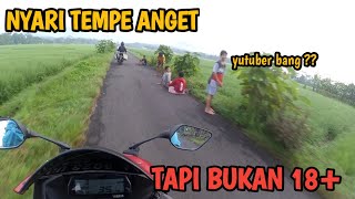 BERBURU TEMPE ANGET || BUKAN 18+