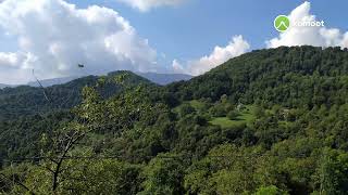 el tour de los peracino en savidad de kovidi