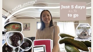 [Moe's Nursing Journey]Just 5 days to go|あと５日で渡航｜カナダで看護師になりたい私が日本で過ごすお盆