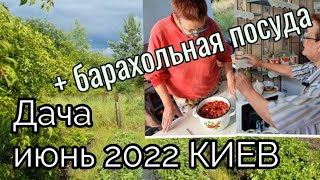 июнь 2022г.КИЕВ. Дача.Чем больше РАБОТАЕШЬ, тем больше дел.