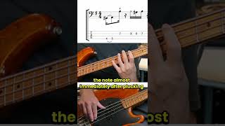 The shortest bass note EVER!! ["Staccatissimo"]