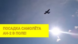 Посадка Ан 2 в поле в городской черте