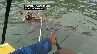 DOK KAPAL TANJUNG PRIOK JADI SARANG IKAN AKIBAT JARANG DI PANCING