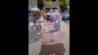 MEOW - Lyrics, (Engsub)