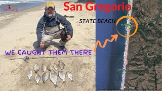 San Gregorio Surfperch fishing Report. North and South.