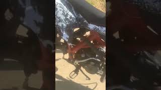 125cc dirtbike #reels #viral #youtubeshorts #bikelife #quad #browardcounty #florida #cat #old