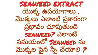 seaweed extract |నిజంగా పంటలకు ఒక వరం లాంటిది|మొక్కల్లో ఇన్ని రకాలుగా పనిచేస్తుందా?|complite details