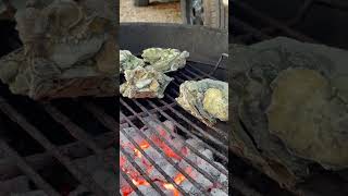 Fresh oysters on the grill. #oyster #grill #grilling