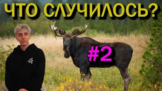 #2 День рождение, музыка, съёмки и серый ноябрь [ЧТО СЛУЧИЛОСЬ?]