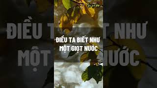 Điều ta biết như một giọt nước #baihoccuocsong